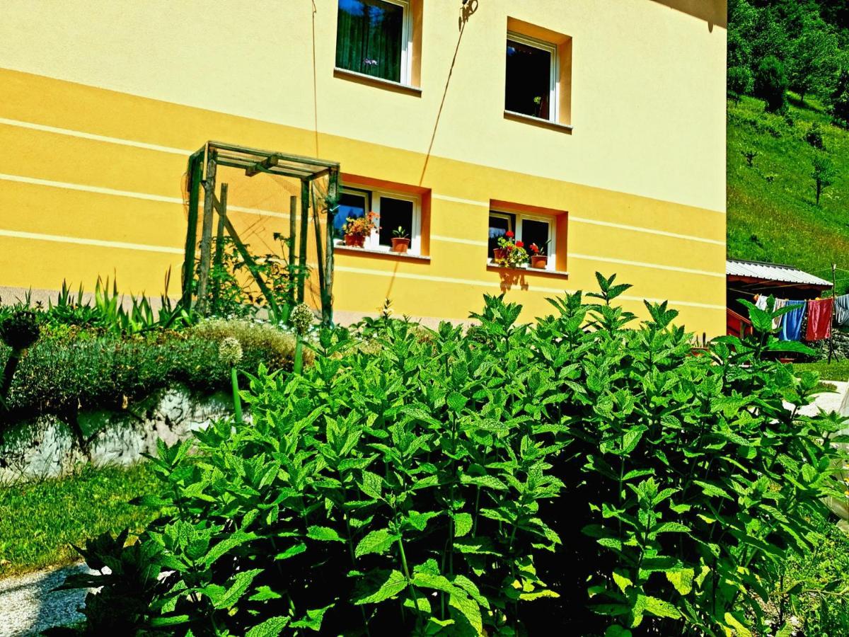 Apartment And Garden House Among The Mountains Podbrdo Eksteriør billede